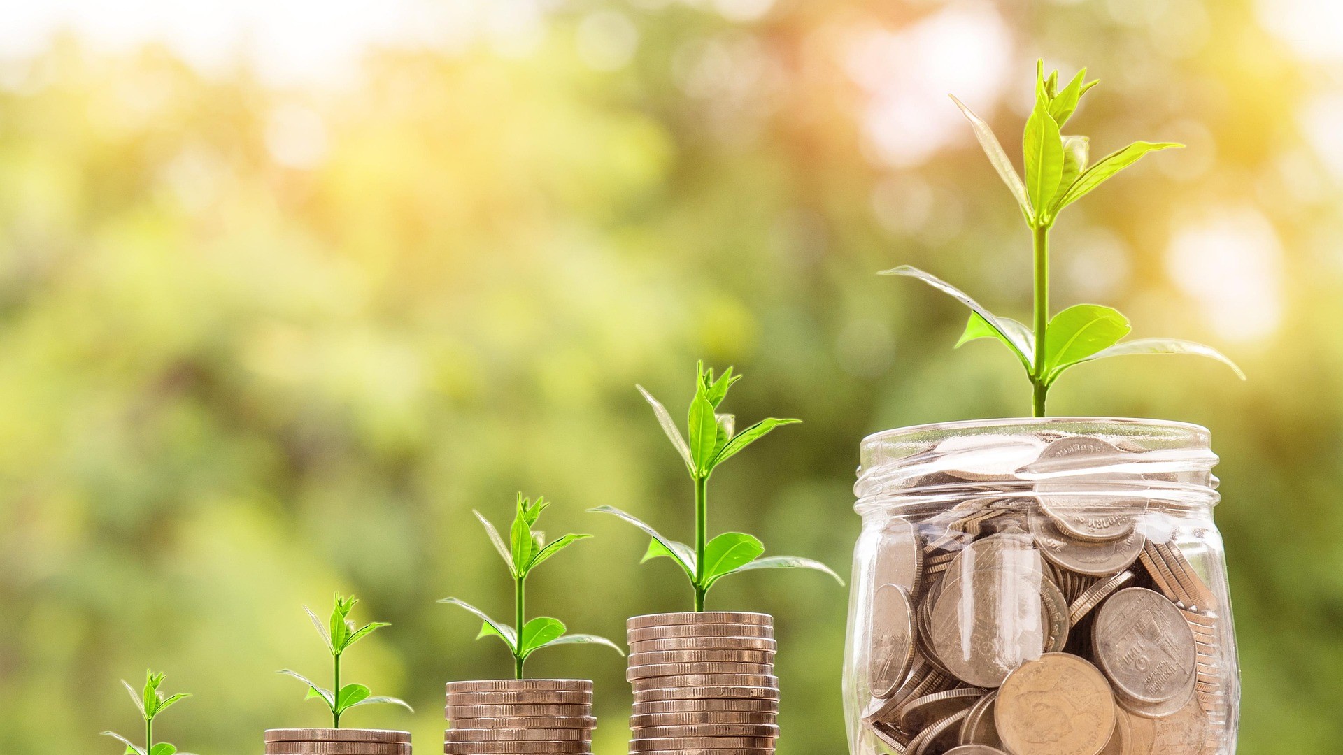 BASKET BOND PIEDMONT: NEW REGIONAL MODEL STRUCTURED AND MANAGED BY SINLOC INVESTIMENTI SGR KICKS OFF
