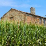 Valorizzazione della produzione agricola, Provincie di Padova e Rovigo